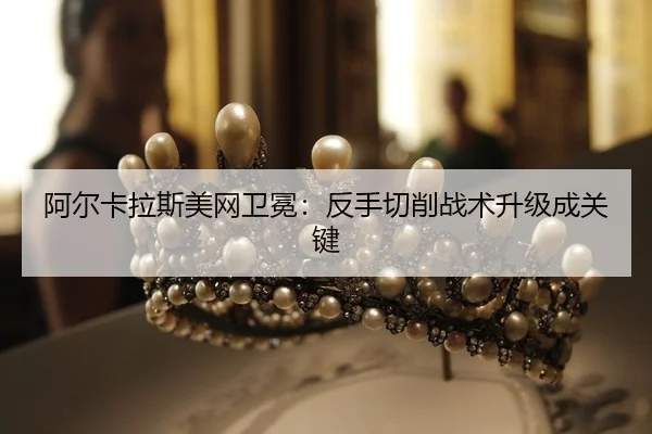 a-er-ka-la-si-mei-wang-wei-mian-fan-shou-qie-xiao-zhan-shu-sheng-ji-cheng-guan-jian-2-711.jpg